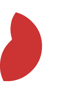 Japan Paint artwork